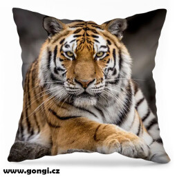 Polštář: Tygr oranžový Sibiřský